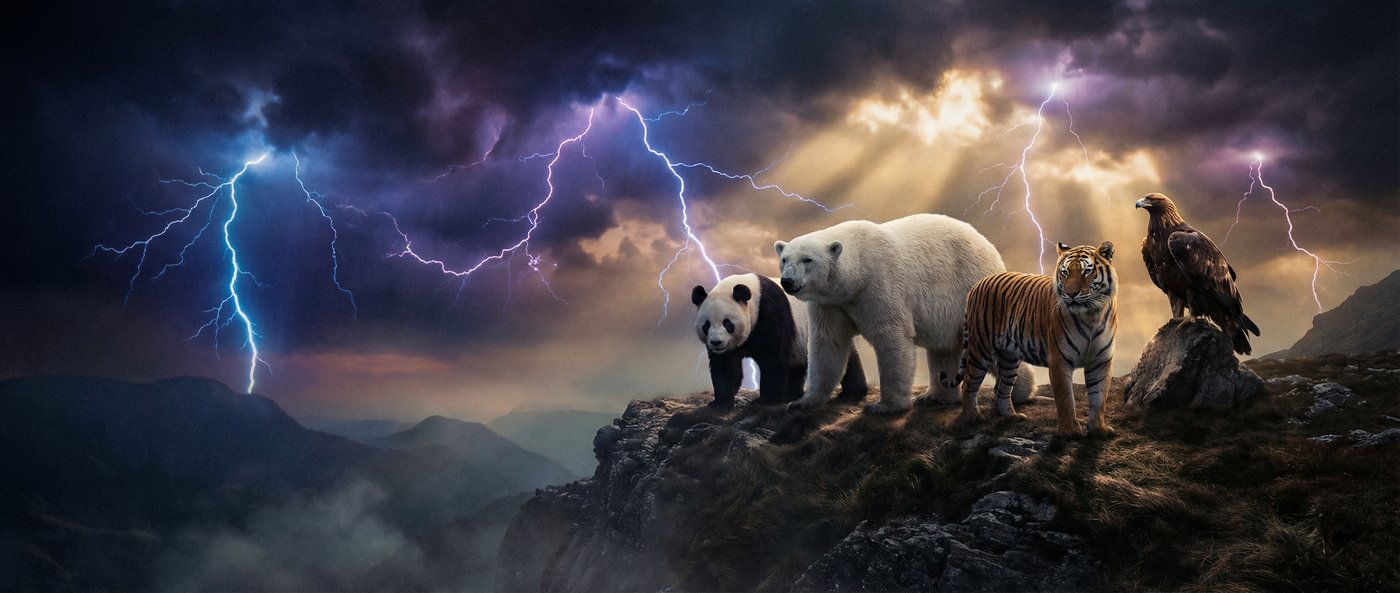 热舞动物写真视频社区